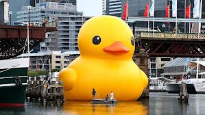 duck in darling harbour